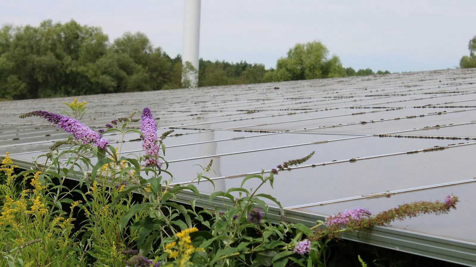 Representative residential rooftop solar array used for the Tarlac case study