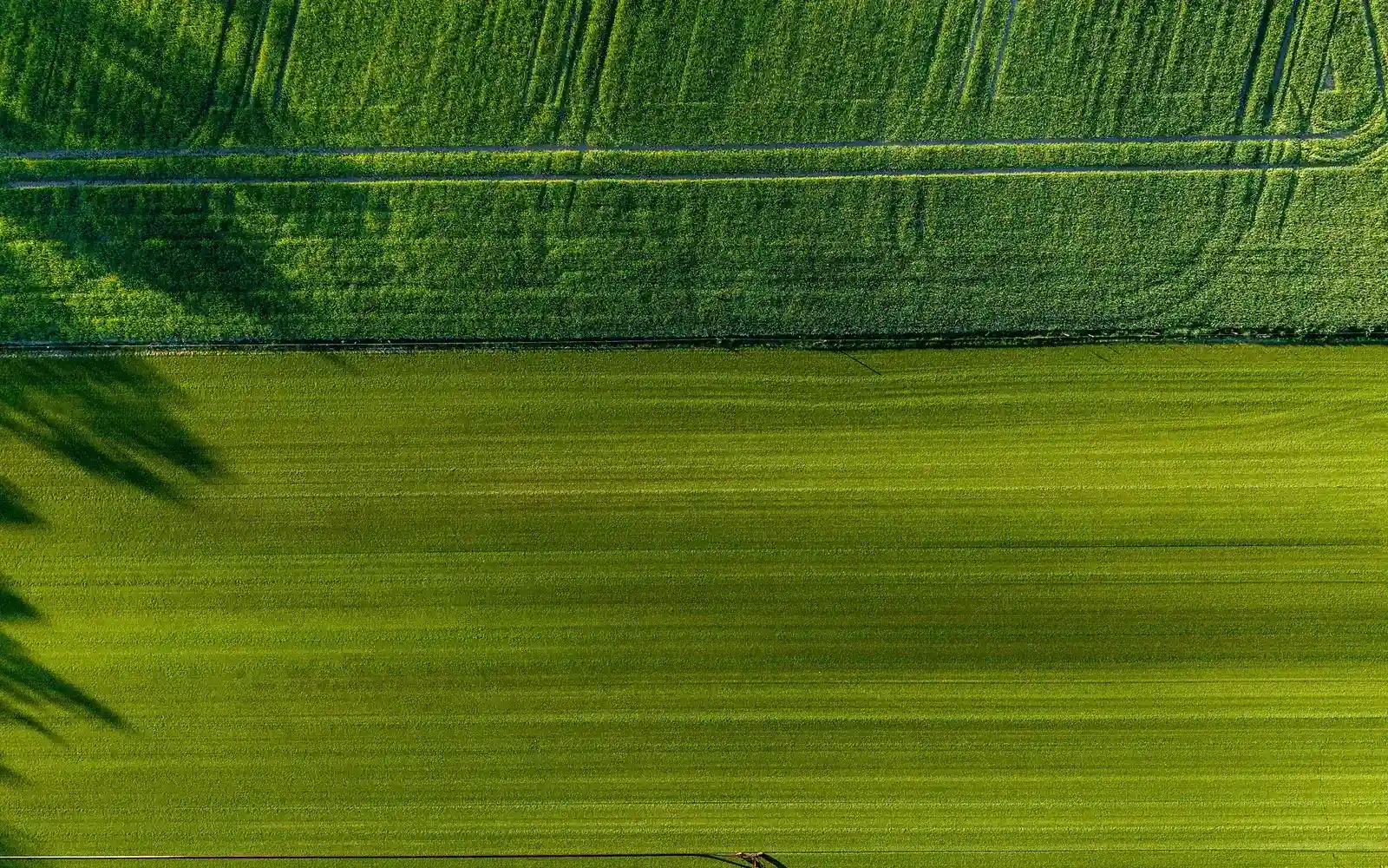 Solar for farms