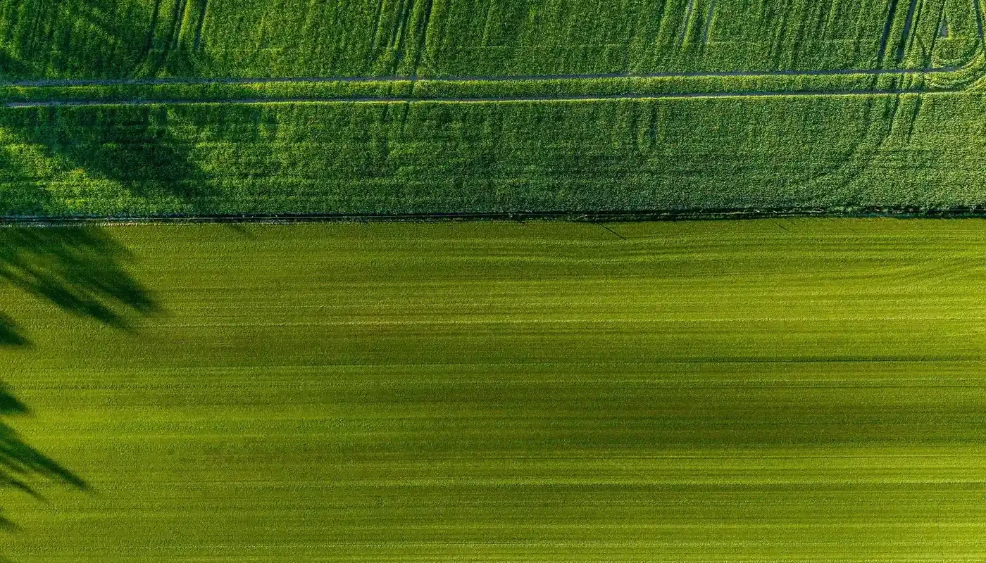 Aerial view of irrigated farmland showing agricultural energy-use context